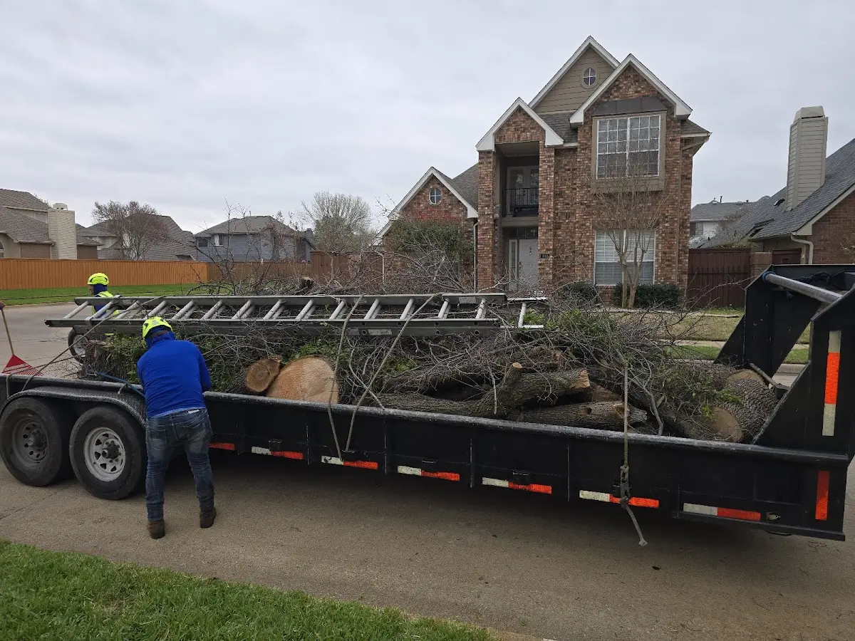 Expert Crown Reduction with proper safety equipment in Shoals